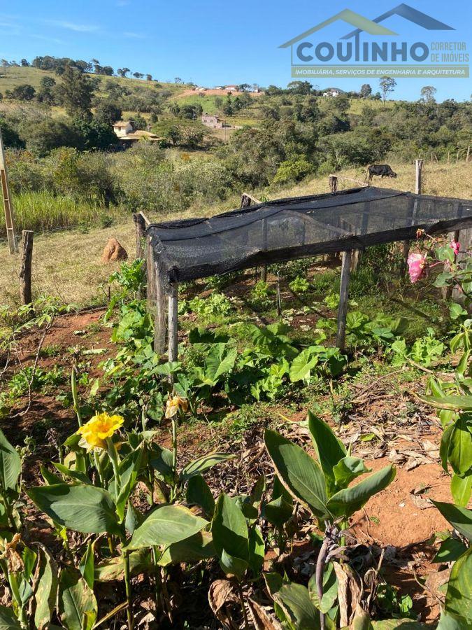 WhatsApp Image 2025-06-16 at 10.57.40.jpeg